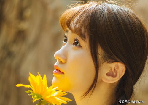 男人用桃花暗示女人 男生给女生发桃花开了啥意思