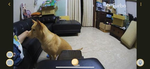 男人用侵略的直直的眼神盯着你 男的眼神感觉要吃掉我