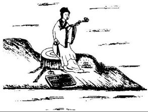 男人种地猜一生肖 男人耕田最佳生肖