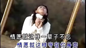 男人给女生发只要有你这首歌 男人用一首歌暗示女人