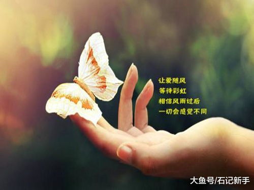 男人被伤透了心的表现 男人受过伤后真的变了