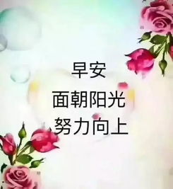 男人给女人唱早安隆回是什么意思 早安隆回歌曲里有爱情吗