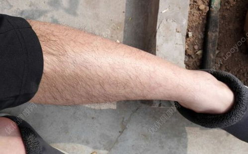 男人腿毛多代表什么命 腿毛多的男人有财运吗