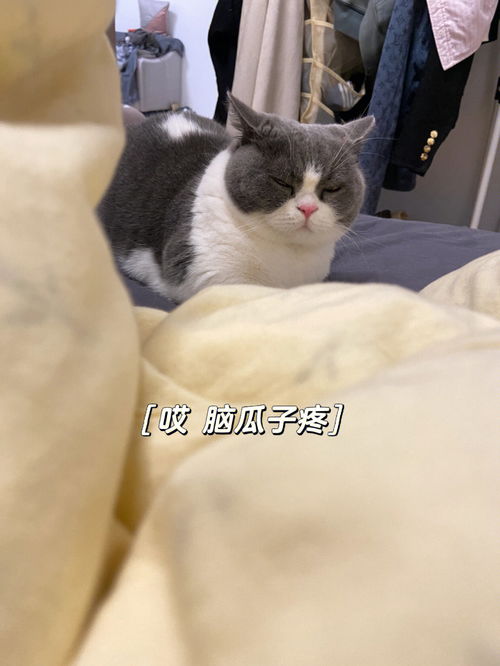 男人说谢谢理解应该怎么回复 谢谢理解如何回复