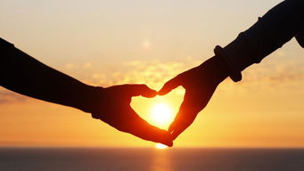 男人说911爱情含义 911的爱情意义