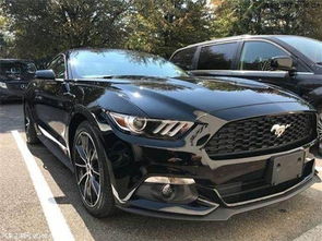 男人说女人是一匹野马 形容女人是一匹野马