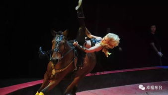 男人说女人是烈马是啥意思 什么男人能驾驭野马女人