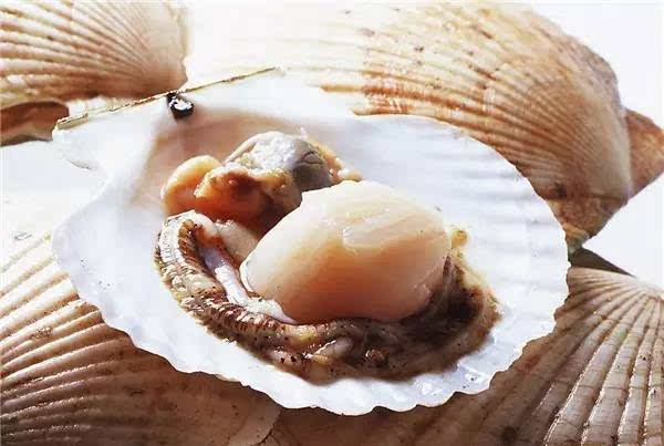 男人跟谁睡是不是都一样 是不是男人都吃过老婆的扇贝呢