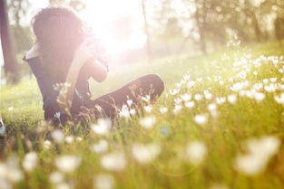 男人跟女人发狼爱上羊是什么意思 狼爱上羊的寓意