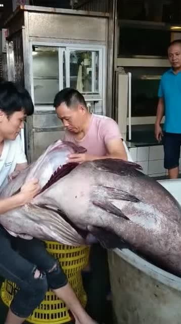 男人说我想吃鱼了啥意思 男的请女人吃鱼的暗示