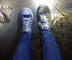 男人踩到人屎好不好 男人梦见脚踩屎是什么征兆