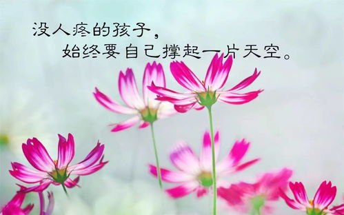 男人送女人一首早安隆回的歌 早安隆回我最爱的人是什么歌名字