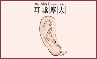 男人长的白净面相 男人长的白净面相耳垂大