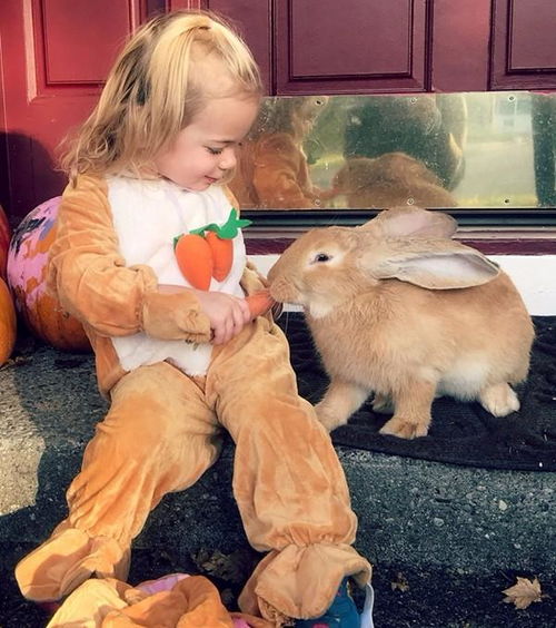 男朋友喜欢玩我的小兔兔 男朋友说想看我小兔子是什么意思