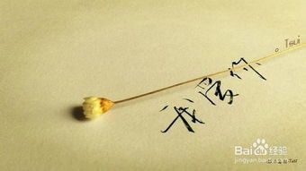 男孩1207暗示爱情什么意思 1207含义