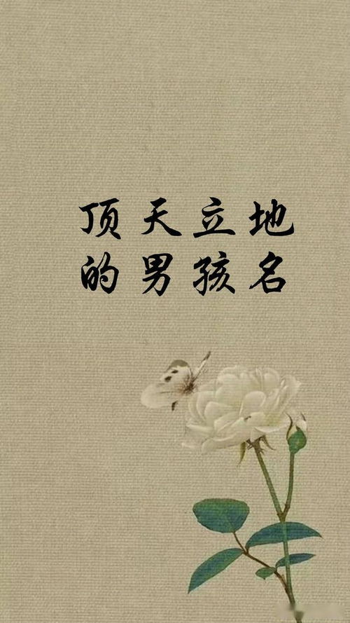 男人顶天立地励志诗句 男人诗句豪气