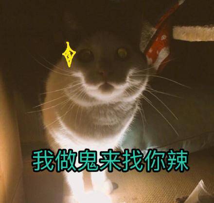 男人问有事吗是什么想法 男人问女人你有事吗啥意思