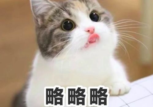 男女朋友之间略略略是什么意思 女生说略略略是暗示喜欢你么