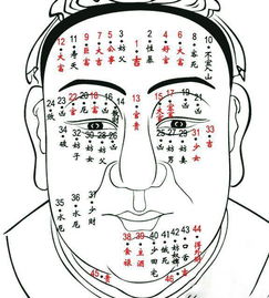 男人面部痣好坏一览表 男人面部最好的六颗痣
