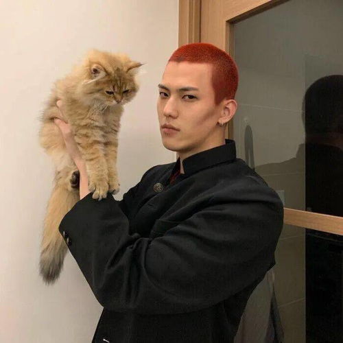 男生会换头像暗示心情吗 男生换头像暗示你不找你