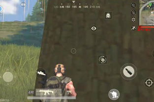 男朋友说让我给他压枪 男朋友说让我给他压枪的尴尬场景