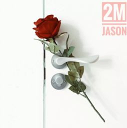 男生为什么喜欢听玫瑰这首歌 男生给女生唱贰佰的玫瑰