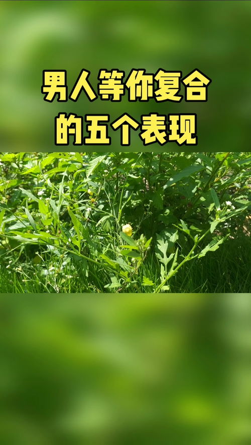 男生在等你复合的表现 男人愿意复合说明什么