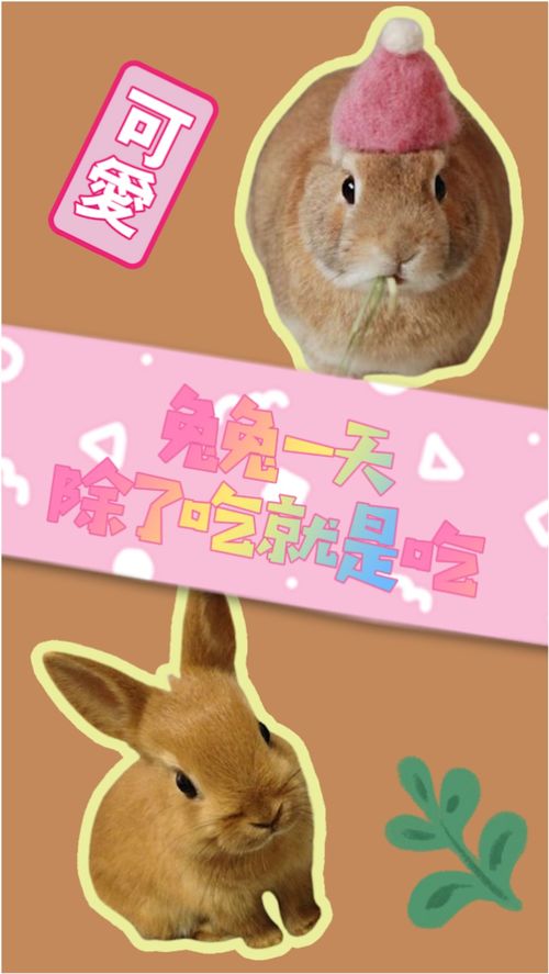 男生吸了小兔兔我该怎么做 小兔兔被男生吃是什么感觉