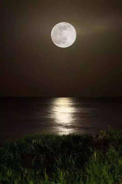 男生对女生海上生明月天涯共此时 海上升明月