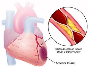 男生摁胃超痛腹部痛文 男生胃疼难忍揉胃视频