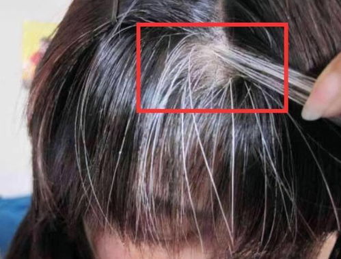 男生摸后脑勺是紧张么 摸后脑勺有什么暗示