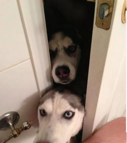 男生看你眼神很凶很锐 为什么他要用凶眼神看我