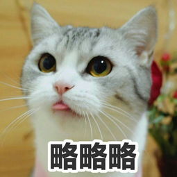 男生略略略有几个意思 略略略是什么污的意思