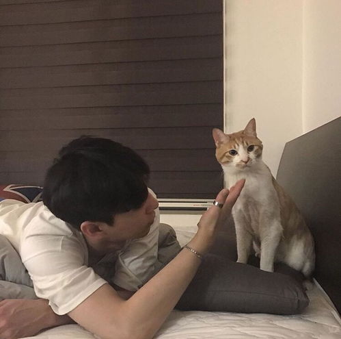 男生换狗头像试探你 男生换头像暗示你不找你