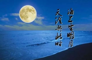 男生说海上生明月有寓意 海上月是天上月是表白吗