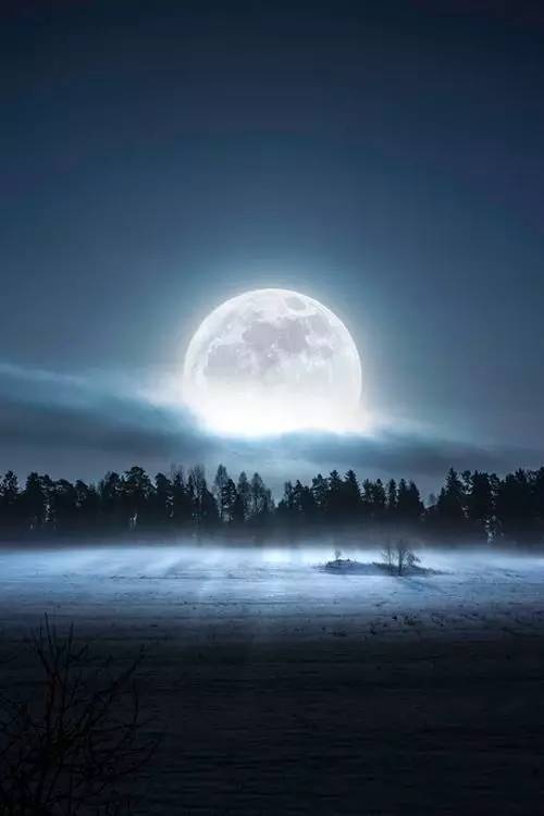 男生说但愿人长久暗示什么 但愿人长久下一句怎么接