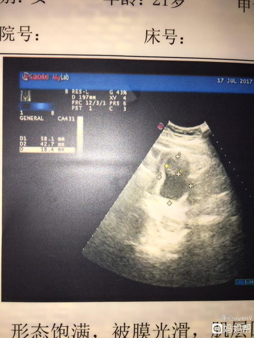 男生说1946是什么意思 1946数字含义