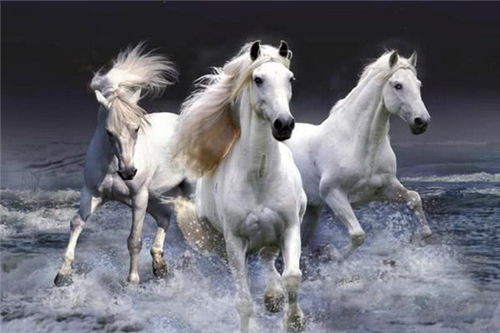 白马怕青牛,断头婚 白马怕青牛到底谁克谁