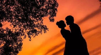 白色代表什么爱情暗示 白色暗示放手吗