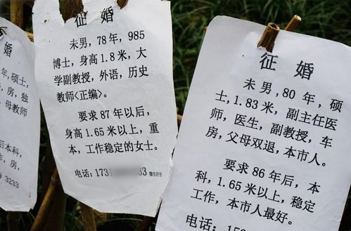 相亲对象是学生未增删 相亲对象是学生未增删樱花第几集