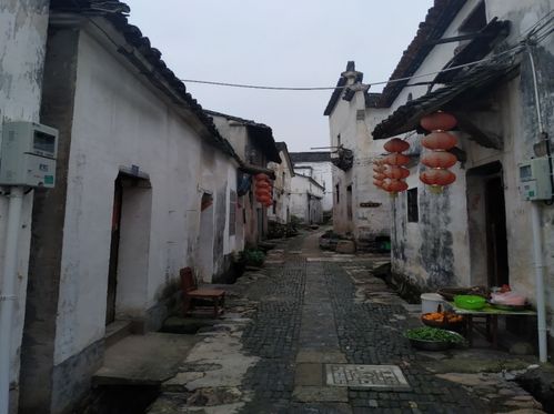 番禺小巷子50爱情 大石植村巷子里的爱情在哪里