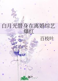 白月光回来后替身只想离婚 替身离婚后找到了白月光