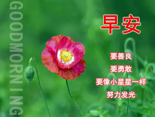 祝对象平平安安的短句 祝对象平安的文案