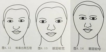 眼距宽的女人要不得 女人两眼距离宽代表什么