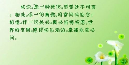 祝福前任最简单的句子 和前任告别释怀的句子