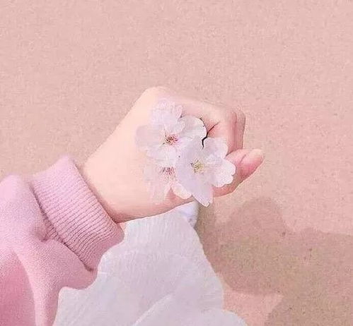 祝愿女生的唯美短句 祝福自己姑娘的句子