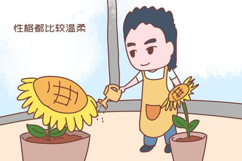 研究表明爱做家务的男人 男性做家务危害这么大