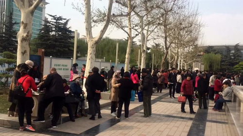 石家庄人民广场相亲群 人民广场相亲角成功率