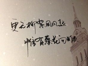 祝女人三十而立的精句八个字 女人三十岁励志短句文案