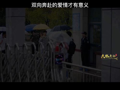 真正的爱情从来不是双向奔赴 双向奔赴的高级说法